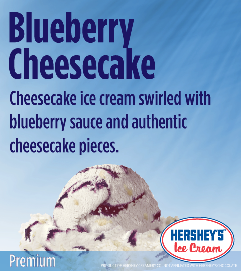 Bluebery Cheesecake